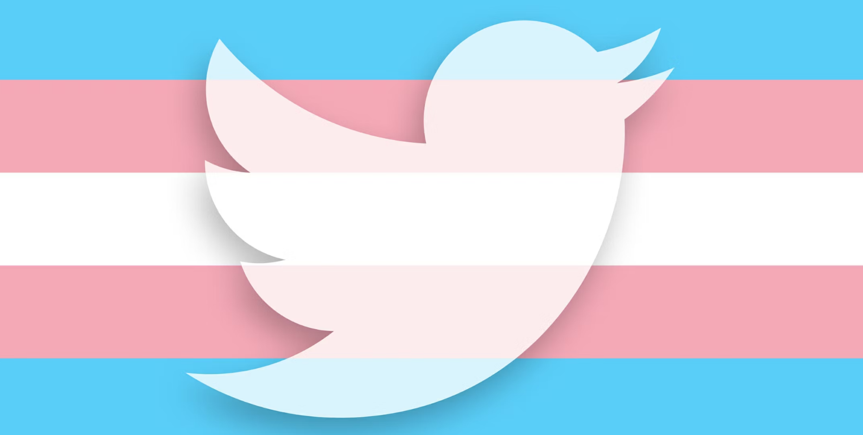 Controversy after Twitter's decision to remove the ban on "misgendering" and using the old name of trans people